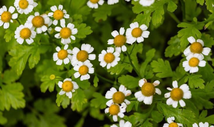 20210915165236be184a83f1ec436f9455fca6481e4777