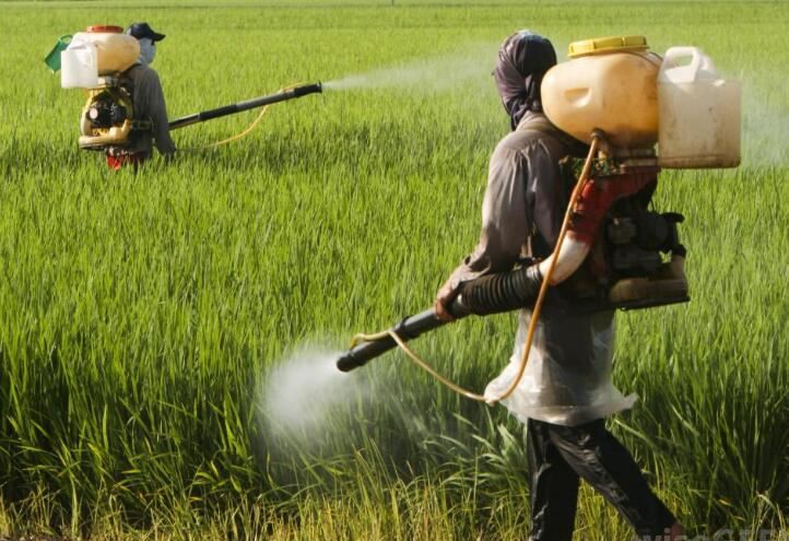 202109151653535c2fecd77f184f5fa9fa1feac1e9d377