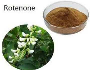 2021092616594064d5baa4837942a8bc7d26ee7bcf3d23 2021092616594064d5baa4837942a8bc7d26ee7bcf3d23