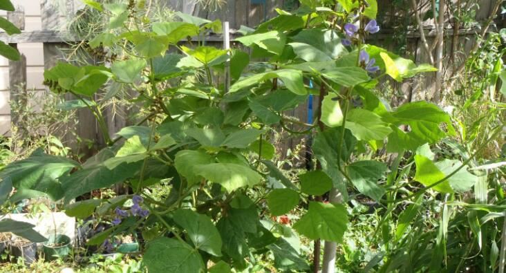 20210926170232dc8a9e0db4264779a4217d9297af3e30 20210926170232dc8a9e0db4264779a4217d9297af3e30