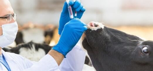 202110191642307d0950b7692c41d395456103775434b6