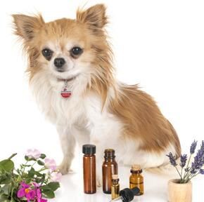 20211122162404986b276c0ff84600ae4e78d666d300c5