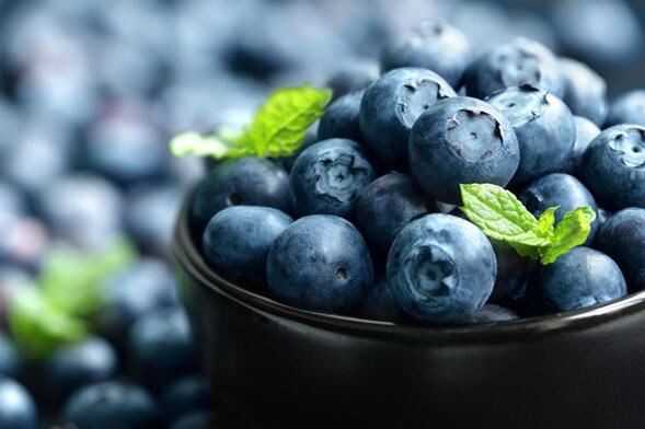 2020111311051634e080331c78492985eaeae524496003 2020111311051634e080331c78492985eaeae524496003