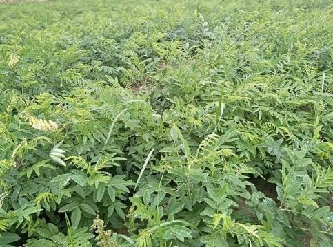 20201119143035d159012a9bdd44778b2e9030a36643ce 20201119143035d159012a9bdd44778b2e9030a36643ce