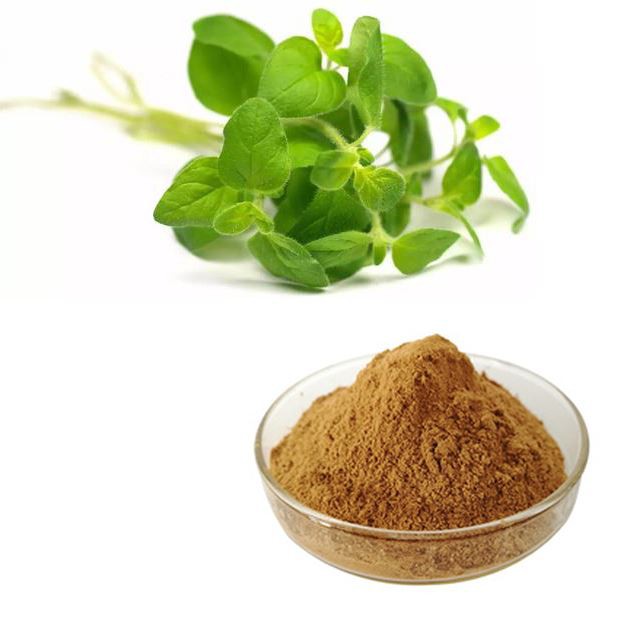Экстракт орегано – GREEN AGRI