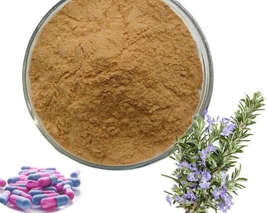 20210426101226f9b2b2a180a84072a2a0ed3b478ead7c-3 20210426101226f9b2b2a180a84072a2a0ed3b478ead7c-3