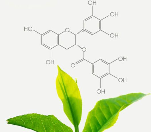 202105211157115d2ed7119a8344feb0450969cb6cccb2-3 202105211157115d2ed7119a8344feb0450969cb6cccb2-3