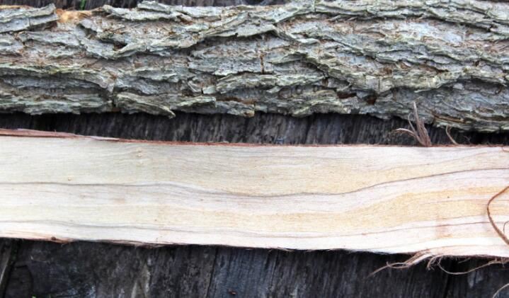 2021070613574766b952a36ce0408ca1a9fe7710d41c0e-2