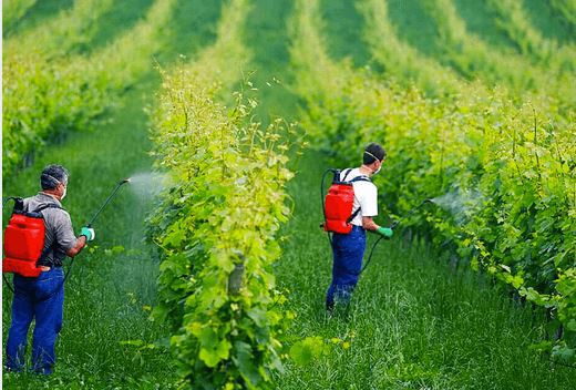 202107261650044f28372e70c944e19d472527e88819c4-8