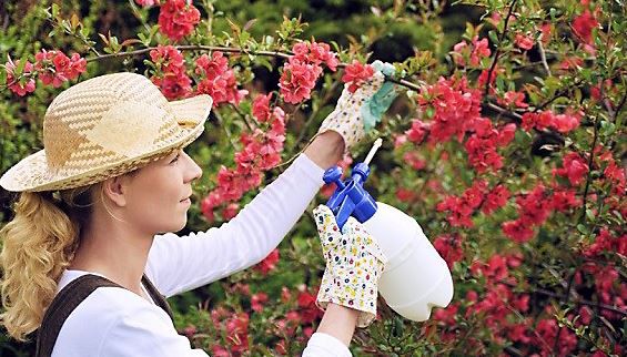 20210727151754696670be36c140aea18fa809b4c85a5d-19