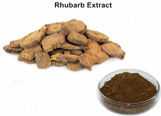 202107301559586233fb9f00544d41bc597028234110c5 202107301559586233fb9f00544d41bc597028234110c5