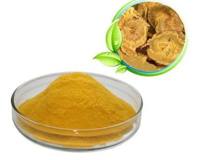 20210730160050582f1290f5bd4c05a5ab1b3616598769 20210730160050582f1290f5bd4c05a5ab1b3616598769