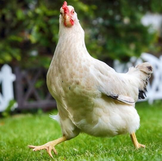 202108051701196bbc5e614fca46e0b3baf3ec3a9581ef-5 202108051701196bbc5e614fca46e0b3baf3ec3a9581ef-5