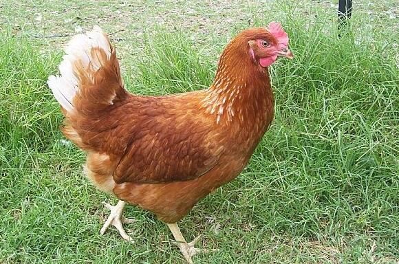 20210810162908558abb7db2ff45c6be1af1c381d242aa-2 20210810162908558abb7db2ff45c6be1af1c381d242aa-2