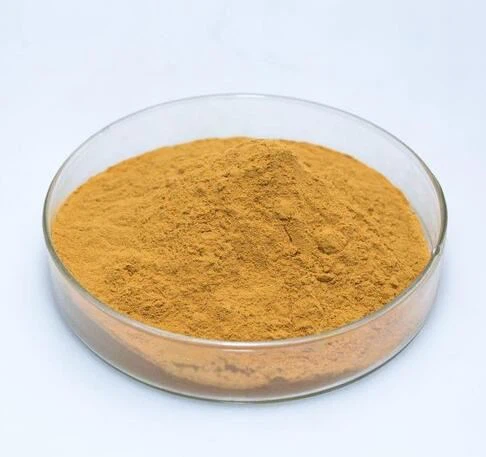 20210924154811225a1f16bae745e1a35691aae6bbca42-2