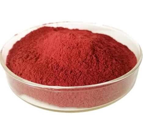 20211112161426403ec4c918914b47bd488fd6cd3e2d9a