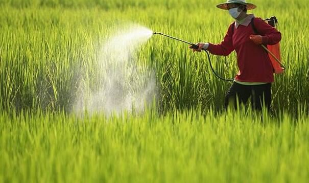 202111261502561bcc3daef63a42f5adc8818fed9ad361-4