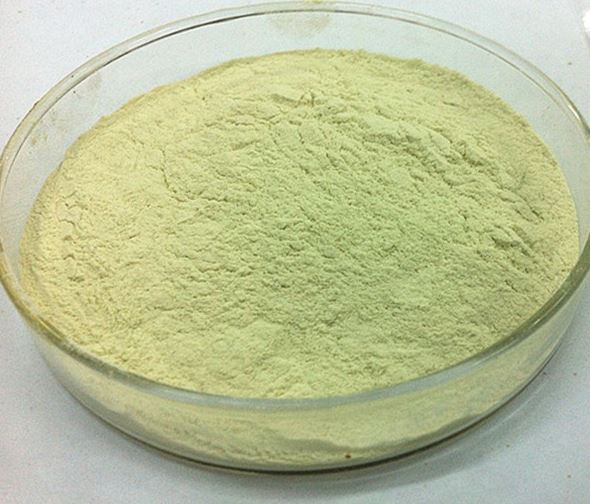 2021123110392061518de888e64e11a16e2d6f3e59d41a