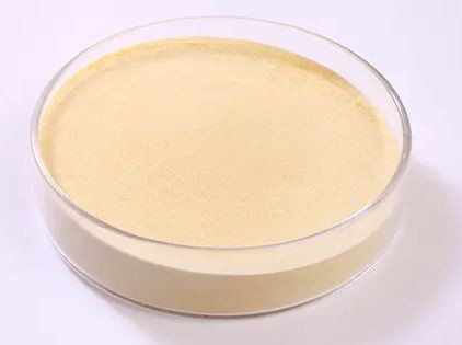 20220104104113f131374450af46269ff717f0fd0bbc8f