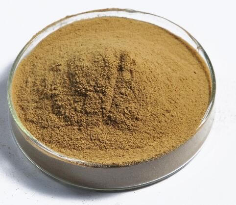 20220211141802d015ab4880d94a899c46f63d9c6a0de5-2