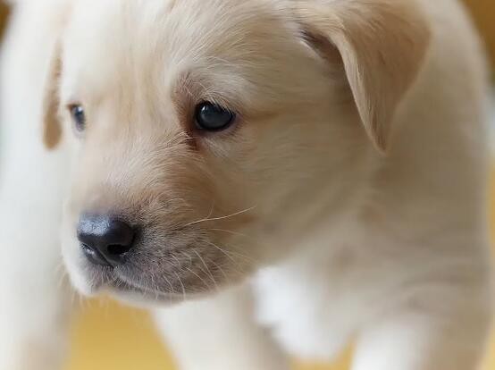 2022030314021131829f69bda2454ea9eca4f3eb723223-10 2022030314021131829f69bda2454ea9eca4f3eb723223-10