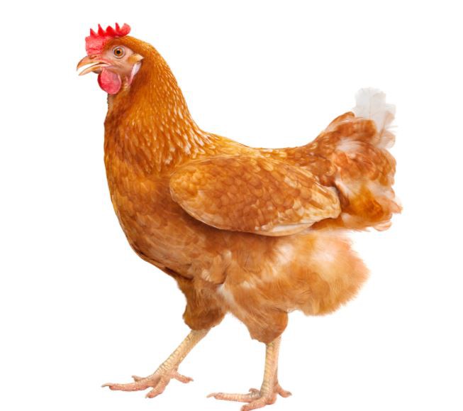 2022031711432202d94e2bdf834be6b8d73fa9be906fc5-1 2022031711432202d94e2bdf834be6b8d73fa9be906fc5-1