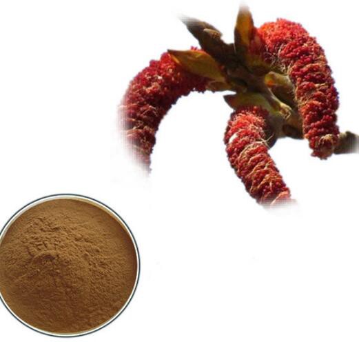 202203251130570e32475e50a74523b98dd496d5868475 202203251130570e32475e50a74523b98dd496d5868475