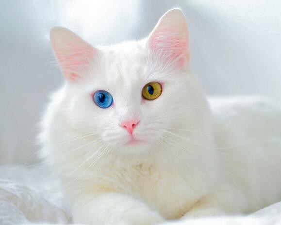 202203251329288c947505a0fc434ea711359c8ba8dc43-3 202203251329288c947505a0fc434ea711359c8ba8dc43-3