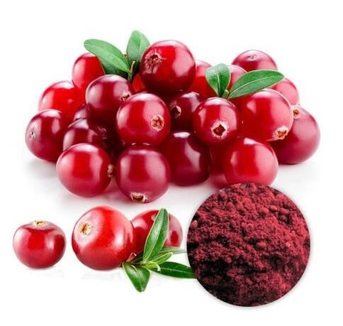 20220329152016a60d3ec96ac348f88ea466f35d781eb5-1 20220329152016a60d3ec96ac348f88ea466f35d781eb5-1