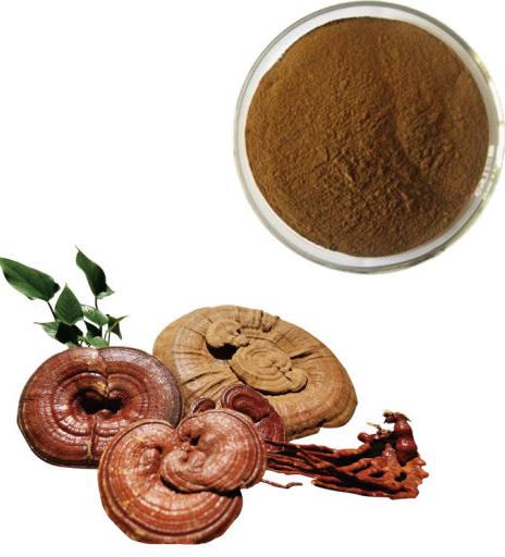 20220411120418a41d156a008e40dd96554258cde4b827 20220411120418a41d156a008e40dd96554258cde4b827