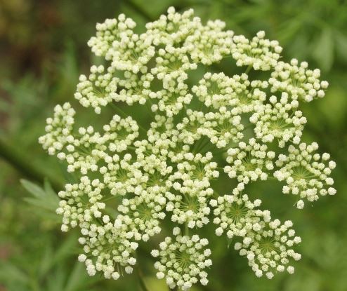 20220413155926657fe3af47ca4c7bb31f38bbdf83e869 20220413155926657fe3af47ca4c7bb31f38bbdf83e869