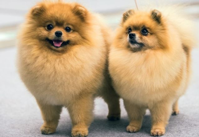 20220414120211cc6d67dc60214c93928b346293776239-5 20220414120211cc6d67dc60214c93928b346293776239-5