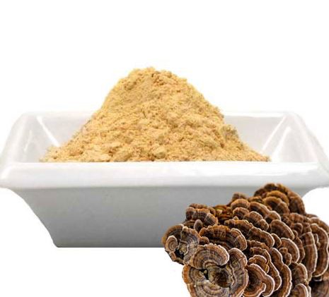 Кориолус Версиколор Порошок – GREEN AGRI