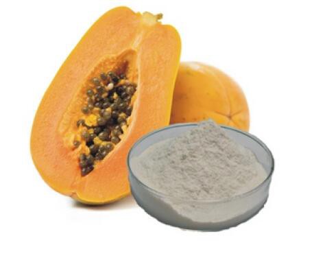 2022051015430224712b9b807d4d4697d008f18a0f070a-1 2022051015430224712b9b807d4d4697d008f18a0f070a-1