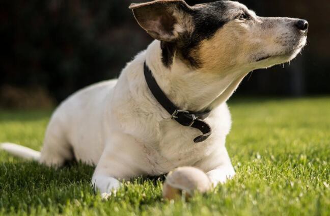 20220516142134a99f34a573d6420abd14cf4987c1eb24-3 20220516142134a99f34a573d6420abd14cf4987c1eb24-3