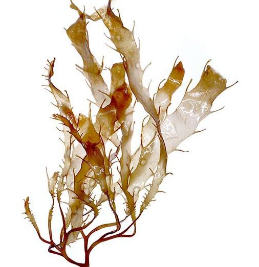 2022052013193486d8f50a356d4191916b74ce334e04fd-1 2022052013193486d8f50a356d4191916b74ce334e04fd-1