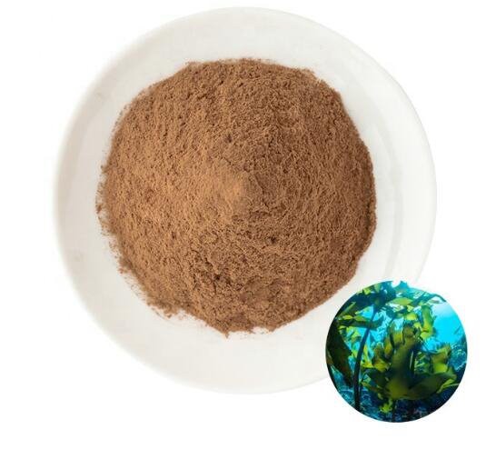 20220711143642f438257bb87b42f08c4f9546ba634297-1