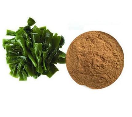 202207131412497ebf90103a0b4762bf9fe1386d47806e-3 202207131412497ebf90103a0b4762bf9fe1386d47806e-3