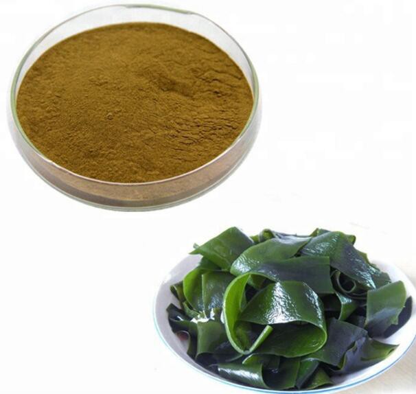 Массовый порошок водорослей – GREEN AGRI