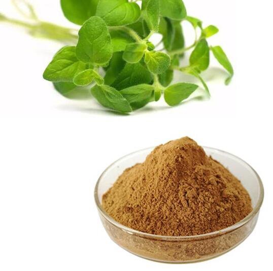 20220719132926b1f9de14459c4b40851ea01d8b9eb0ca