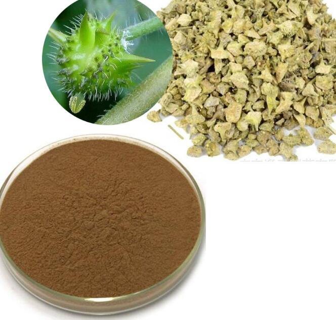 Лучший экстракт Tribulus Terrestris – GREEN AGRI