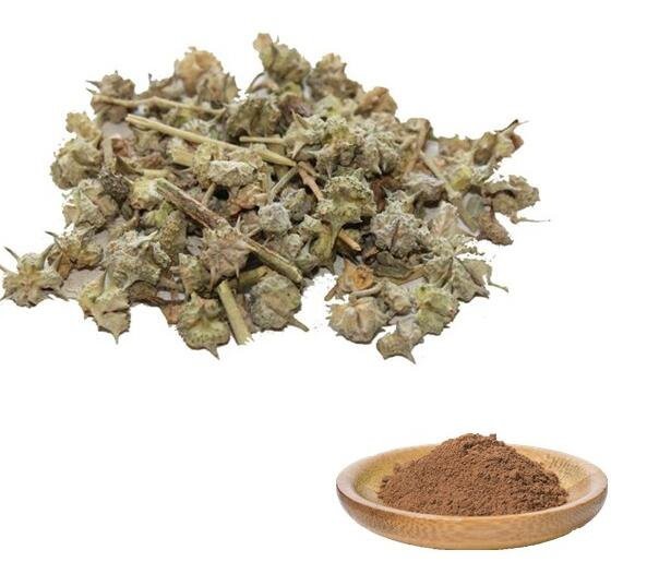 20220726154443e583b7a478364af89216a834b4fdcfed 20220726154443e583b7a478364af89216a834b4fdcfed