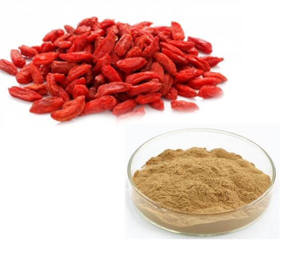 20220818113954830d57aa5cd14be19f8c7489a1f2e2dc 20220818113954830d57aa5cd14be19f8c7489a1f2e2dc