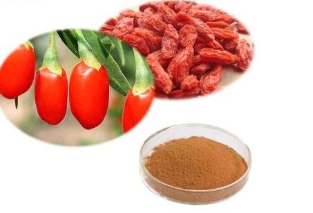 202208181341268b14a48280b846b5855c7153ad9a5698 202208181341268b14a48280b846b5855c7153ad9a5698