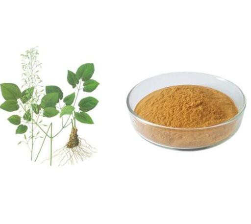 20220822145538fafa13e72bf44c74b9ac57546071d39d 20220822145538fafa13e72bf44c74b9ac57546071d39d