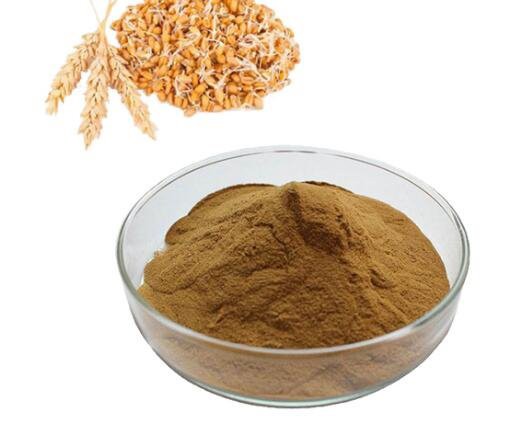 20220913134338a768b705269e436ba7cc00bcbfd10f44-2 20220913134338a768b705269e436ba7cc00bcbfd10f44-2