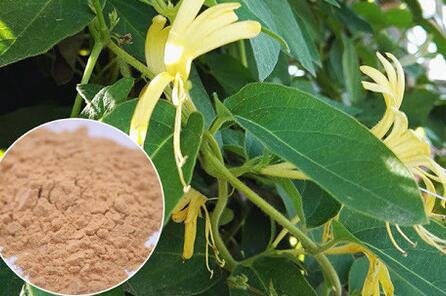 20221103155122c2203d410da947ee823d7467c1f43803 20221103155122c2203d410da947ee823d7467c1f43803