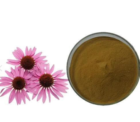 20230217113910a966fab9ea8c4563984ffa3d1a71f939 20230217113910a966fab9ea8c4563984ffa3d1a71f939