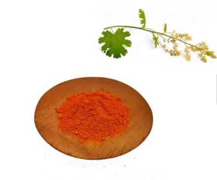 202302201346286a9236375fe14eefa3603c026f202cb7 202302201346286a9236375fe14eefa3603c026f202cb7