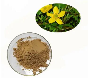 2023030615285903ee1f3a8cfb43c185e536267a7b0688-1 2023030615285903ee1f3a8cfb43c185e536267a7b0688-1